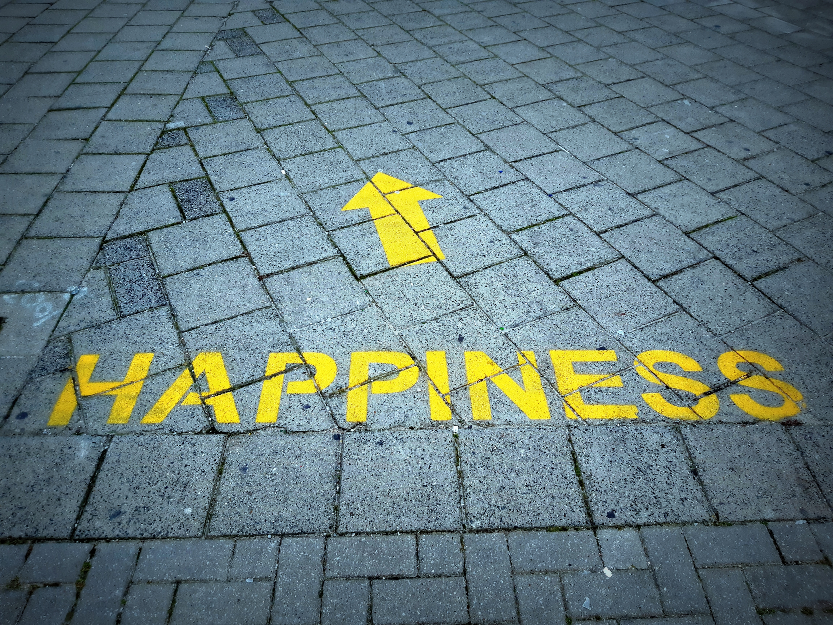 A gray concrete brick path with a bright yellow arrow and the word HAPPINESS in all caps, indicating a path to happiness.