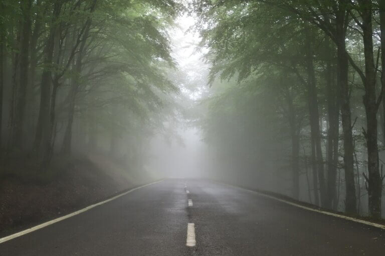 A foggy two-way road lined with lush green trees.